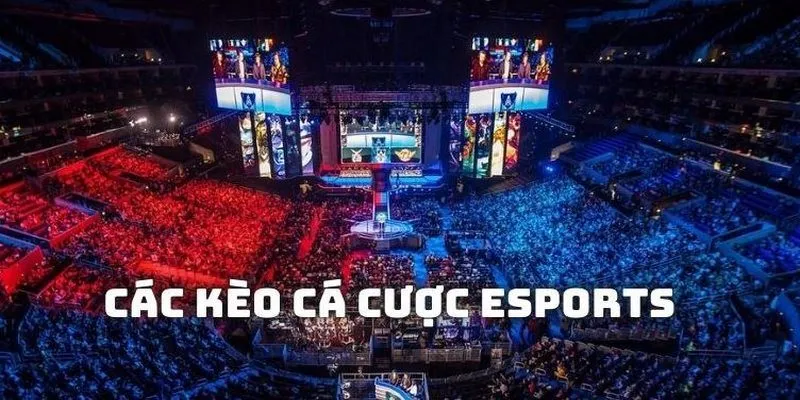 Đa dạng kèo chất lượng trong từng trận đấu